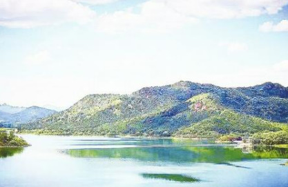 莱月再生行业资讯